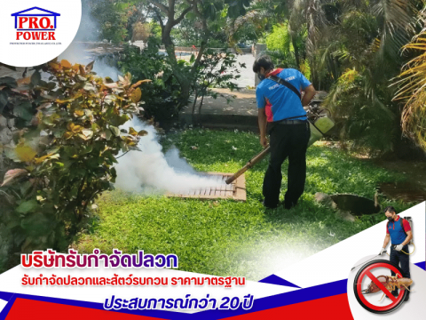 รับพ่นแมลงกำจัดยุง และแมลงรบกวน